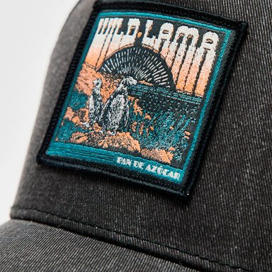 GORRA WILD LAMA FOREST - 3