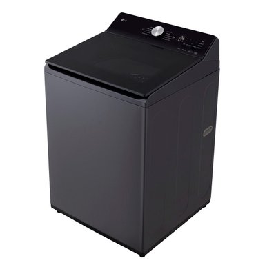 LAVADORA CARGA SUPERIOR LG WT21EGTX6 21KG GRAFITO - 3