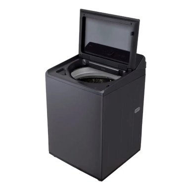 LAVADORA CARGA SUPERIOR LG WT25EGTX6 25KG GRAFITO - 9