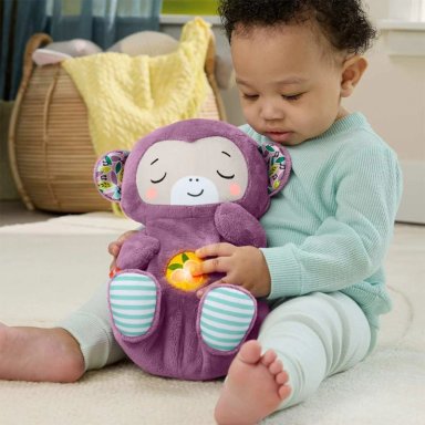 MONO MUSICAL DE DORMIR FISHER-PRICE RECIÉN NACIDOS - 3