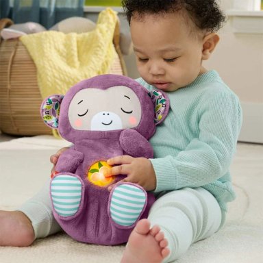 MONO MUSICAL DE DORMIR FISHER-PRICE RECIÉN NACIDOS - 5