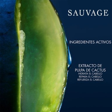 SHAMPOO HIDRATANTE DIOR SAUVAGE 250ML - 4