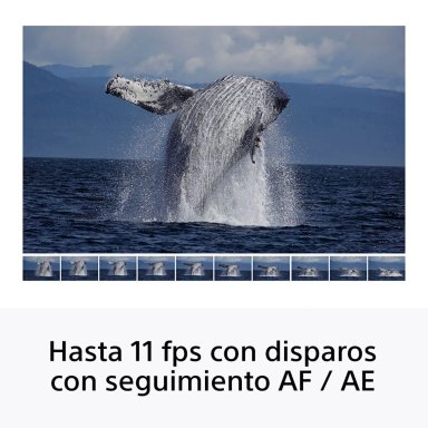 CÁMARA MIRRORLESS SONY APS-C ILCE-6100X: A6100 + LENTE SELP16502 + LENTE SEL55210 - 16
