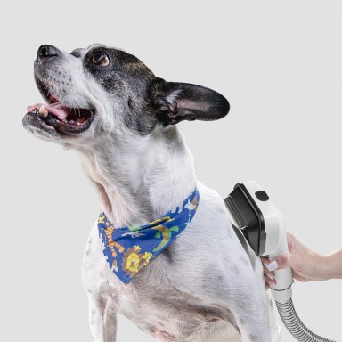 ASPIRADORA KARCHER PET CLEAN - 8