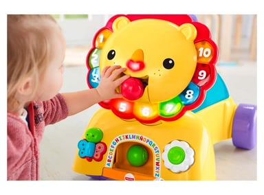 JUGUETE FISHER PRICE PERRITO CAMINA CONMIGO - 5