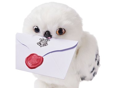 HEDWIG INTERACTIVO HARRY POTTER - 4