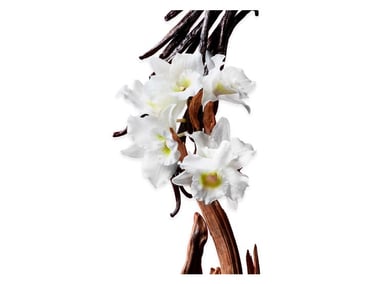PERFUME VIKTOR & ROLF FLOWERBOMB MUJER EDP 30 ML - 4