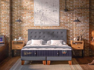 JUEGO DE DORMITORIO CIC CAMA EUROPEA PREMIUM KING + RESPALDO EUFRATES - 9