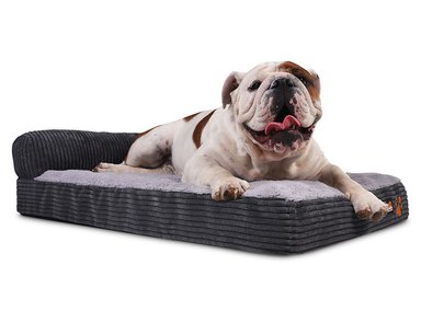 COLCHON MASCOTA CIC PET DREAMS MEDIUM + ALMOHADA - 4