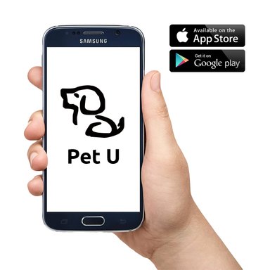 DISPENSADOR ALIMENTO MASCOTAS CON CÁMARA Y AUDIO - 8