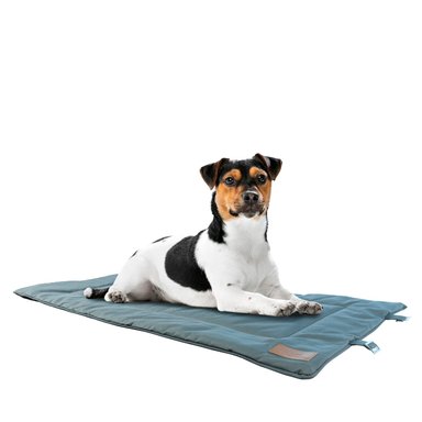 Cama para perro mascota toby enrrollable 112x67 cm petwoow - 1
