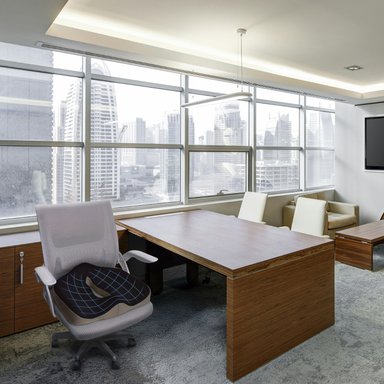 COJÍN ORTOPÉDICO ERGONÓMICO LUMBAR PARA SILLA SOPORTE ESPALDA ACQUI - 10