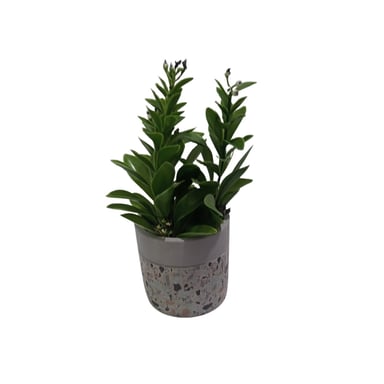 PLANTA ARTIFICIAL MACETA CEMENTO 23 CM - 1