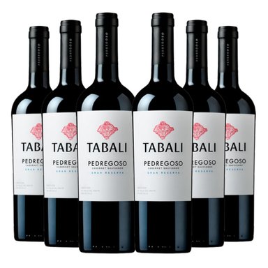 VINO TINTO CABERNET SAUVIGNON TABALI BOTELLA VIDRIO 6 UN PEDREGOSO - 1