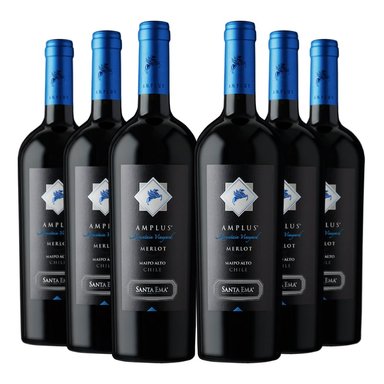 VINO TINTO CARMENERE MERLOT SANTA EMA BOTELLA VIDRIO 6 UN AMPLUS - 1