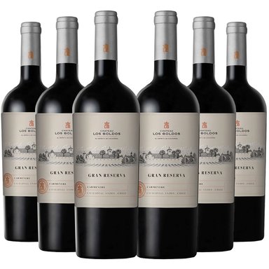 6 VINOS LOS BOLDOS GRAN RESERVA CARMENERE - 1
