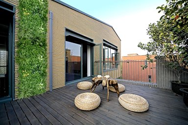 JARDIN VERTICAL HELECHO PRO - 3