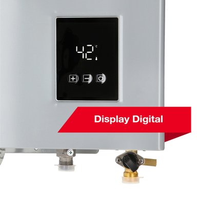 CALEFONT A GAS NATURAL 21 L RHEEM TIRO FORZADO - 3