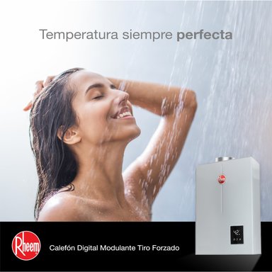 CALEFONT A GAS NATURAL 21 L RHEEM TIRO FORZADO - 6