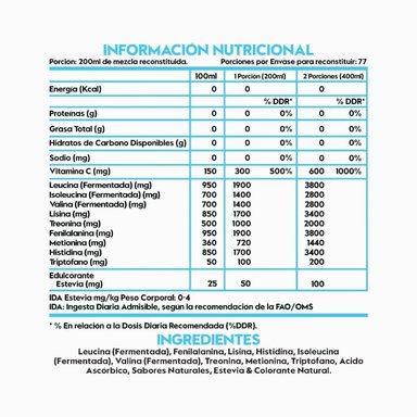 CREATINA ITALO GROTTINI MONOHIDRATADA 300GR PACK AMINOACIDOS ESENCIALES 1KG PIÑA - 2