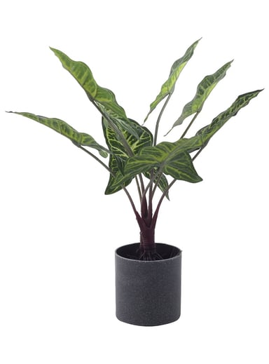 PLANTA DECORATIVA ARTIFICIAL ALOCASIA ZEBRINA - 1