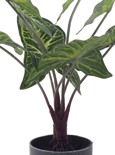 PLANTA DECORATIVA ARTIFICIAL ALOCASIA ZEBRINA - 2