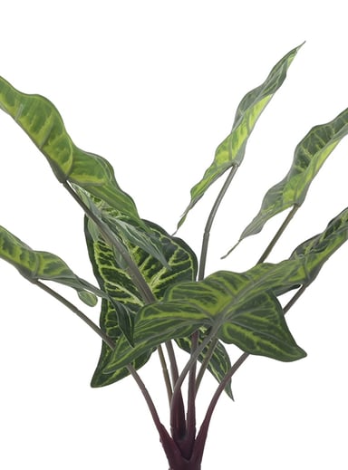 PLANTA DECORATIVA ARTIFICIAL ALOCASIA ZEBRINA - 3