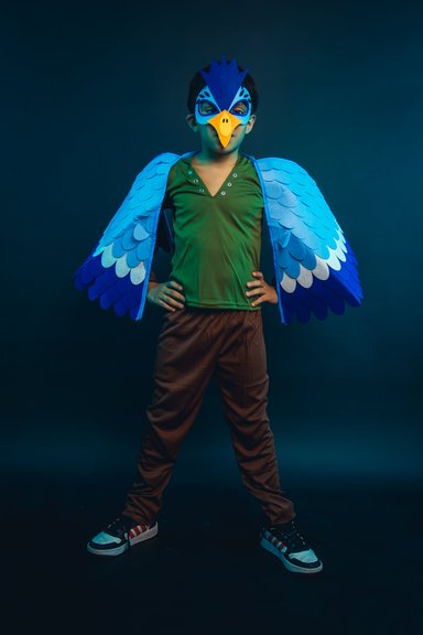DISFRAZ INFANTIL COSPLAY PAJARO AVE AZUL NIÑOS JUEGOS ROL - 3