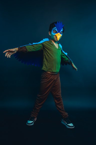 DISFRAZ INFANTIL COSPLAY PAJARO AVE AZUL NIÑOS JUEGOS ROL - 4