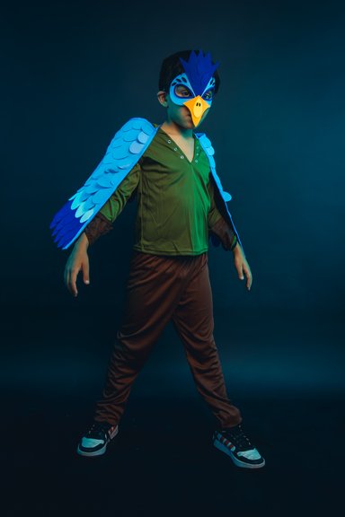 DISFRAZ INFANTIL COSPLAY PAJARO AVE AZUL NIÑOS JUEGOS ROL - 5