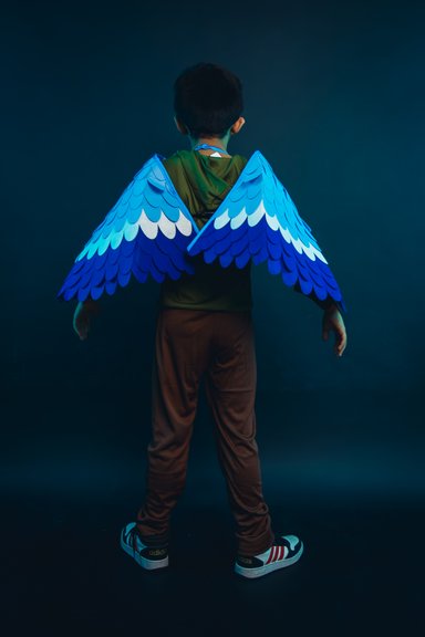DISFRAZ INFANTIL COSPLAY PAJARO AVE AZUL NIÑOS JUEGOS ROL - 6