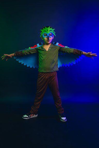 DISFRAZ INFANTIL COSPLAY PAJARO AVE VERDE NIÑOS JUEGOS ROL - 3