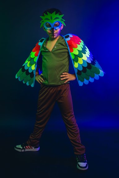 DISFRAZ INFANTIL COSPLAY PAJARO AVE VERDE NIÑOS JUEGOS ROL - 4