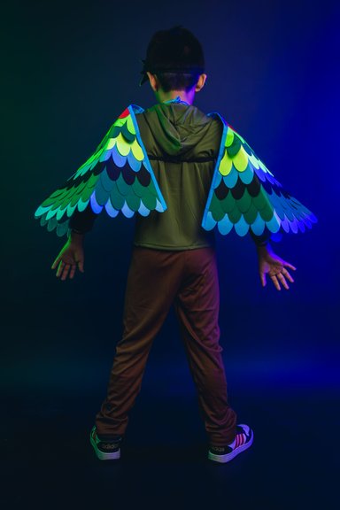 DISFRAZ INFANTIL COSPLAY PAJARO AVE VERDE NIÑOS JUEGOS ROL - 5