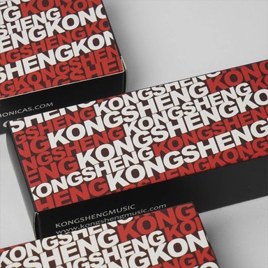 ARMONICA DIATONICA AMAZING-20 AM-20D KONGSHENG - 2
