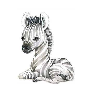IMAGEN DECORATIVA NORDICA ZEBRA 30X40 CM - 1