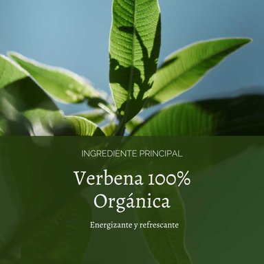 REFILL GEL DE DUCHA VERBENA 500 ML L'OCCITANE - 3