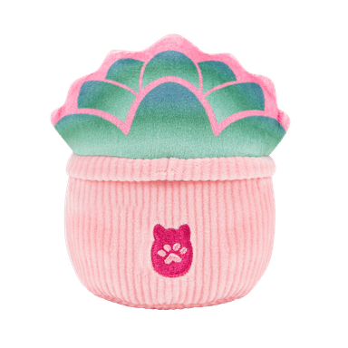 PACK 2 PELUCHES SQUISHMALLOWS 10 CM - 3