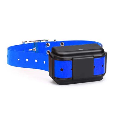 GPS 4G RASTREADOR PARA MASCOTAS MICODUS MP50G 4G 4000 MAH - 1