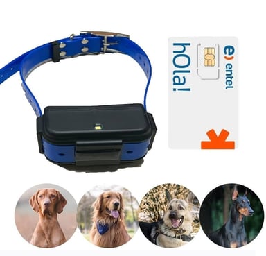 LOCALIZADOR GPS PARA MASCOTAS TKSTAR TK919 4G GPS TRACKER CONFIGURADO CON SIM - 1