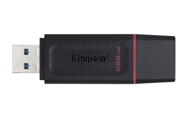 PENDRIVE KINGSTON UNIDAD FLASH USB DATATRAVELER EXODIA 256 GB USB TIPO A - 3