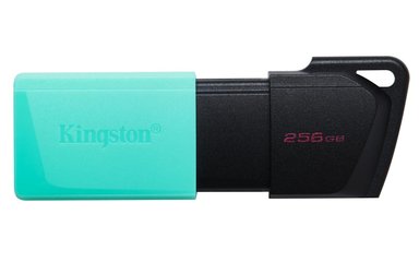 PENDRIVE KINGSTON DATATRAVELER EXODIA M USB 256 GB USB 3.2 GEN 1 - 1