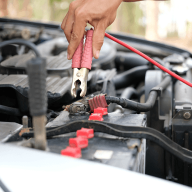 CARGADOR BATERÍA IMPORTCLICK AUTO MOTO 6/12 VOLT 6 AMPERES - 6