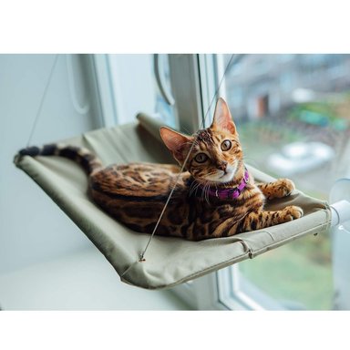 CAMA GATO IMPORTCLICK HAMACA VENTANA 55X32 CM - 3