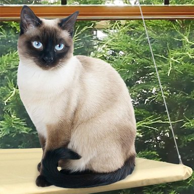 CAMA GATO IMPORTCLICK HAMACA VENTANA 55X32 CM - 4