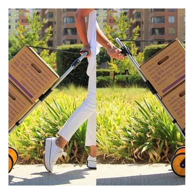 CARRO PLEGABLE SIN MARCA 150 KG 52 X 50 X 115 CM TIPO YEGUA ASA ACERO - 9