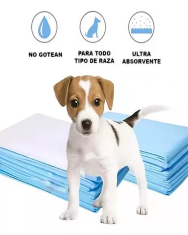 100 SABANILLAS PAÑALES DESECHABLE MASCOTAS TALLA S - 1