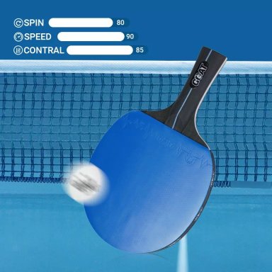 PACK X2 PALETAS DE PING PONG + 2 PELOTAS + ESTUCHE - 3