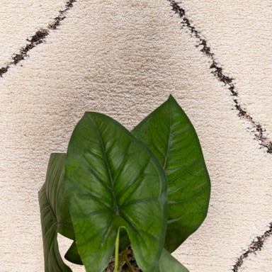 ALFOMBRA ORIGEN 160X230 GJ54A - 5
