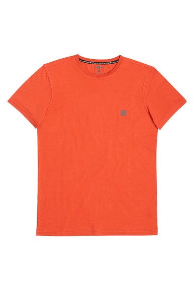 POLERA BACK PRINT HUDSON BRICK - 1